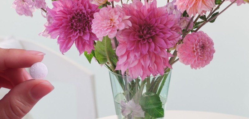 Agregar Azcar o Aspirinas al Agua de las Flores Alarga su Vida? Mitos y Realidades