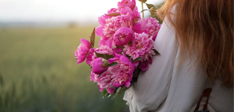 Qu Son las Peonias y Por Qu Son Tan Caras?